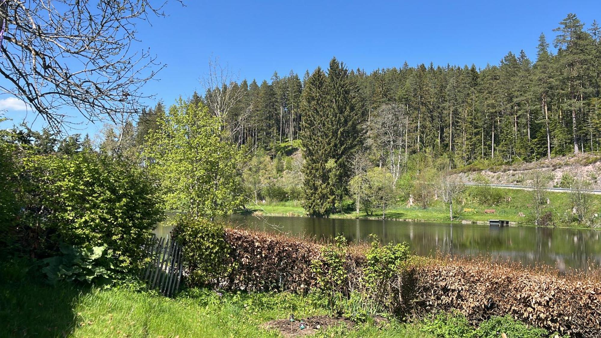 Haus Am See - Natur Pur Friedenweiler Dış mekan fotoğraf