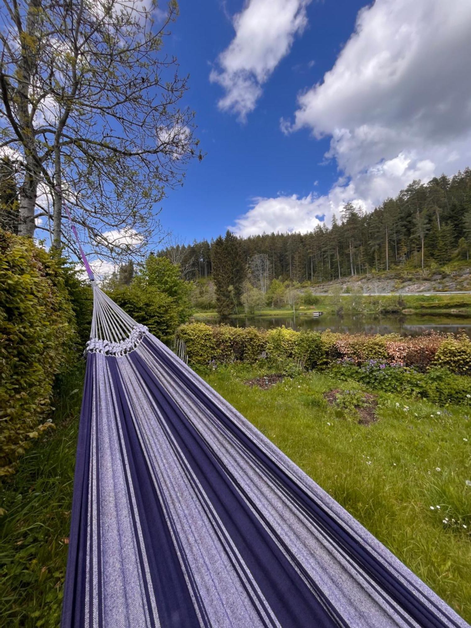 Haus Am See - Natur Pur Friedenweiler Dış mekan fotoğraf