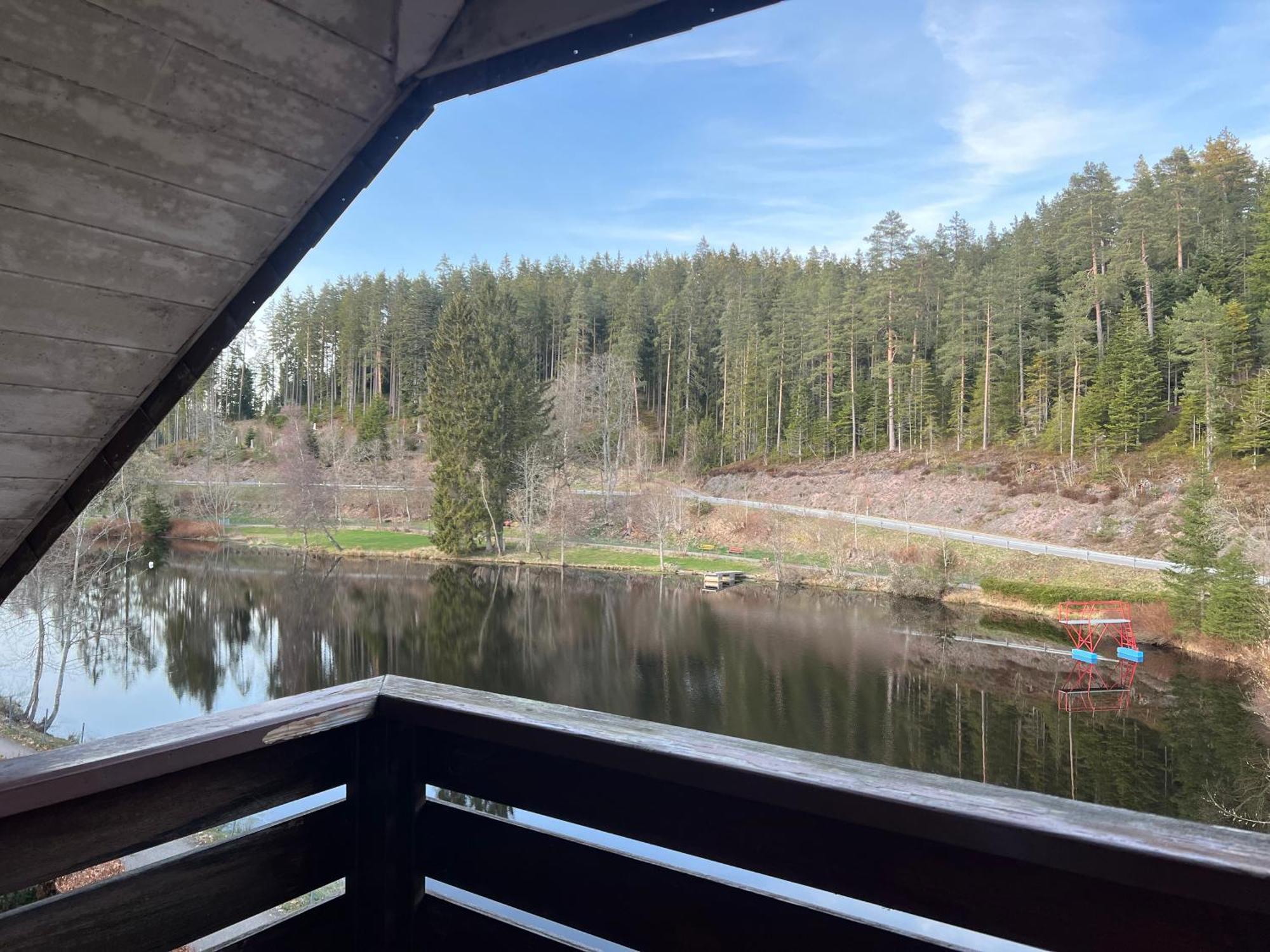 Haus Am See - Natur Pur Friedenweiler Dış mekan fotoğraf