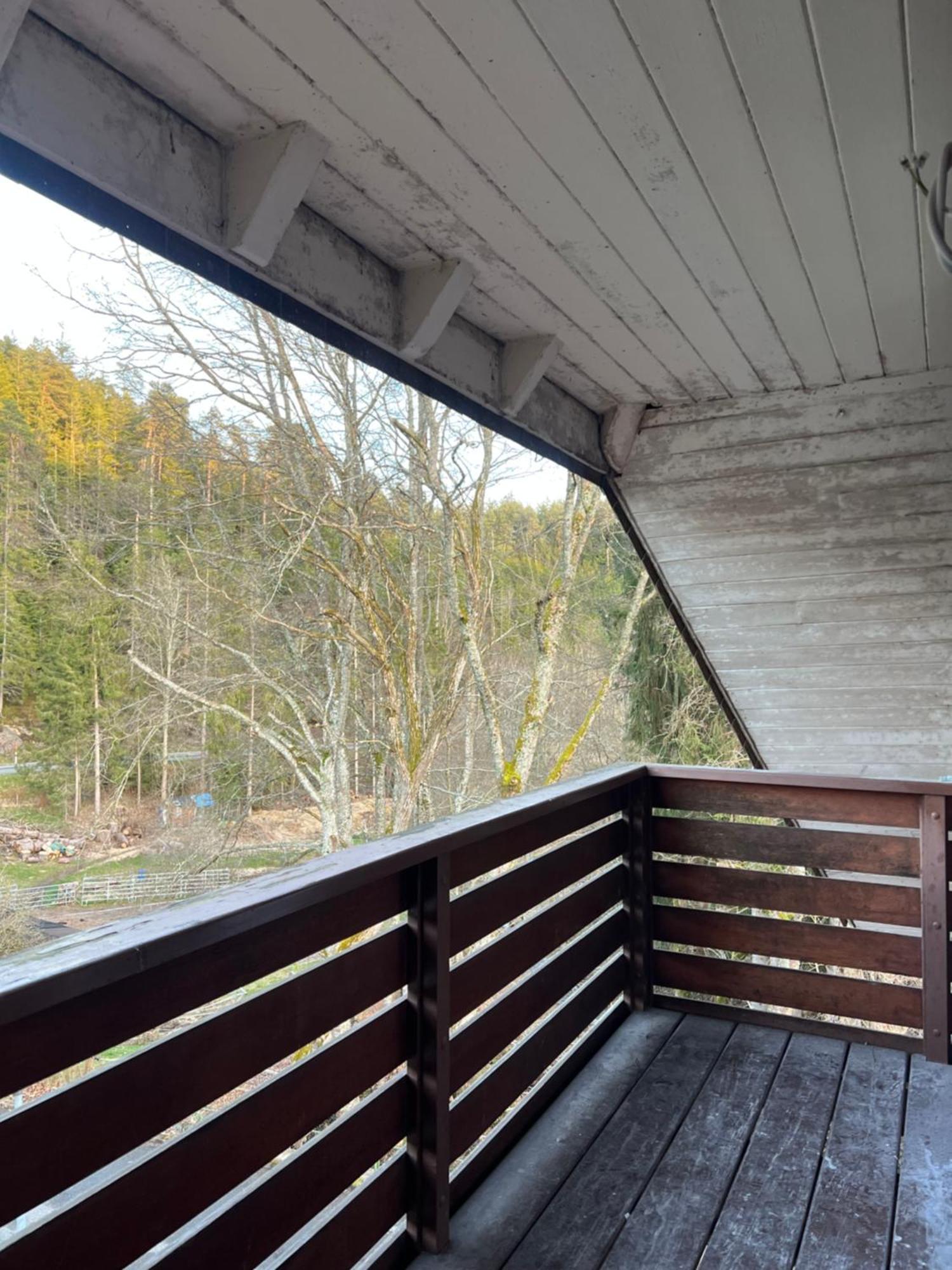 Haus Am See - Natur Pur Friedenweiler Dış mekan fotoğraf