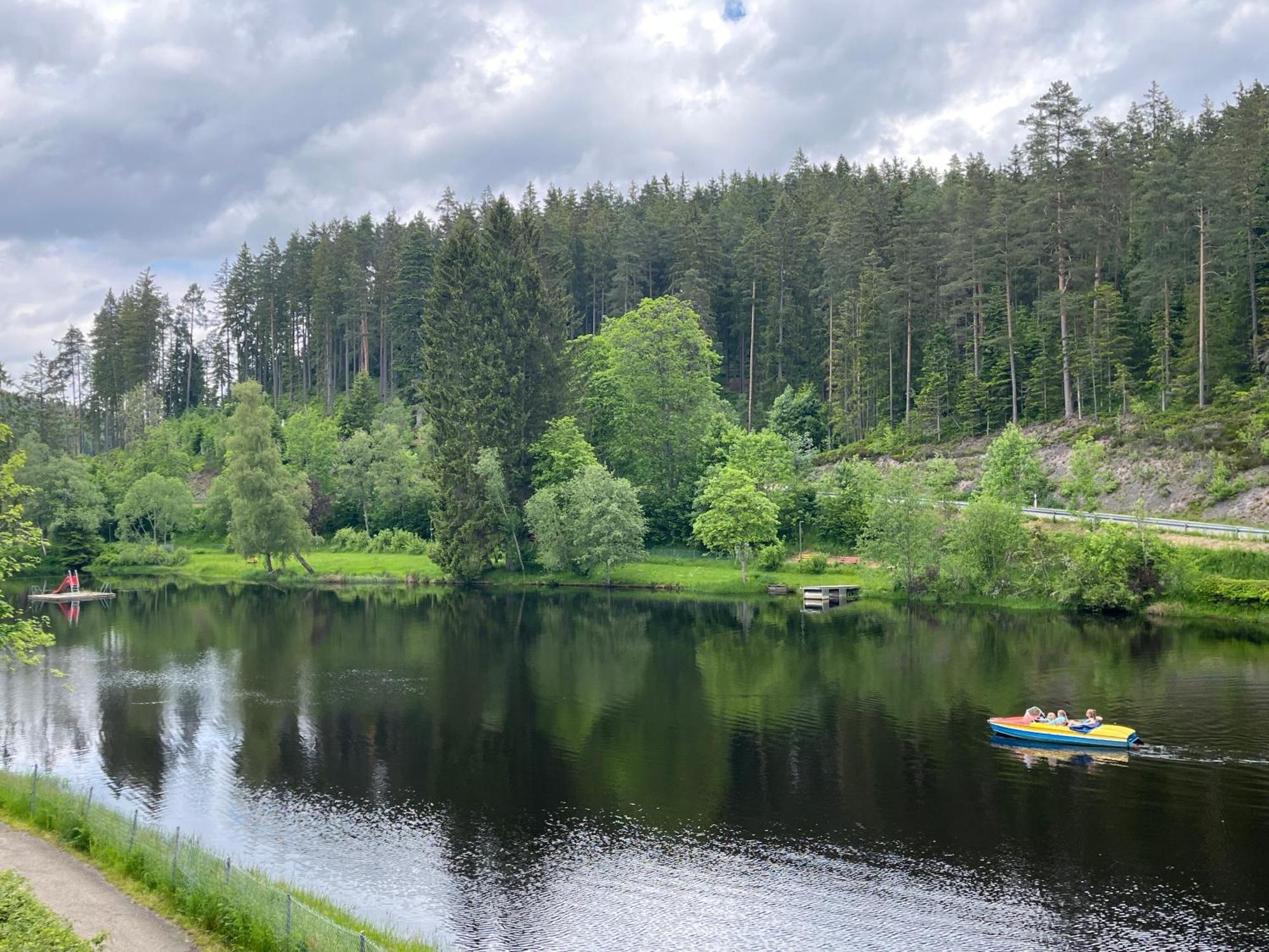 Haus Am See - Natur Pur Friedenweiler Dış mekan fotoğraf