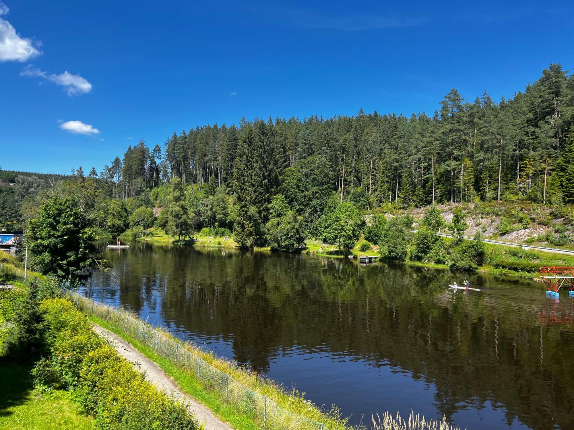 Haus Am See - Natur Pur Friedenweiler Dış mekan fotoğraf