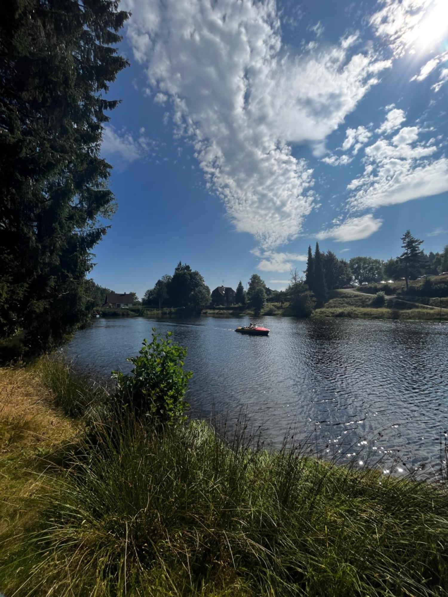 Haus Am See - Natur Pur Friedenweiler Dış mekan fotoğraf