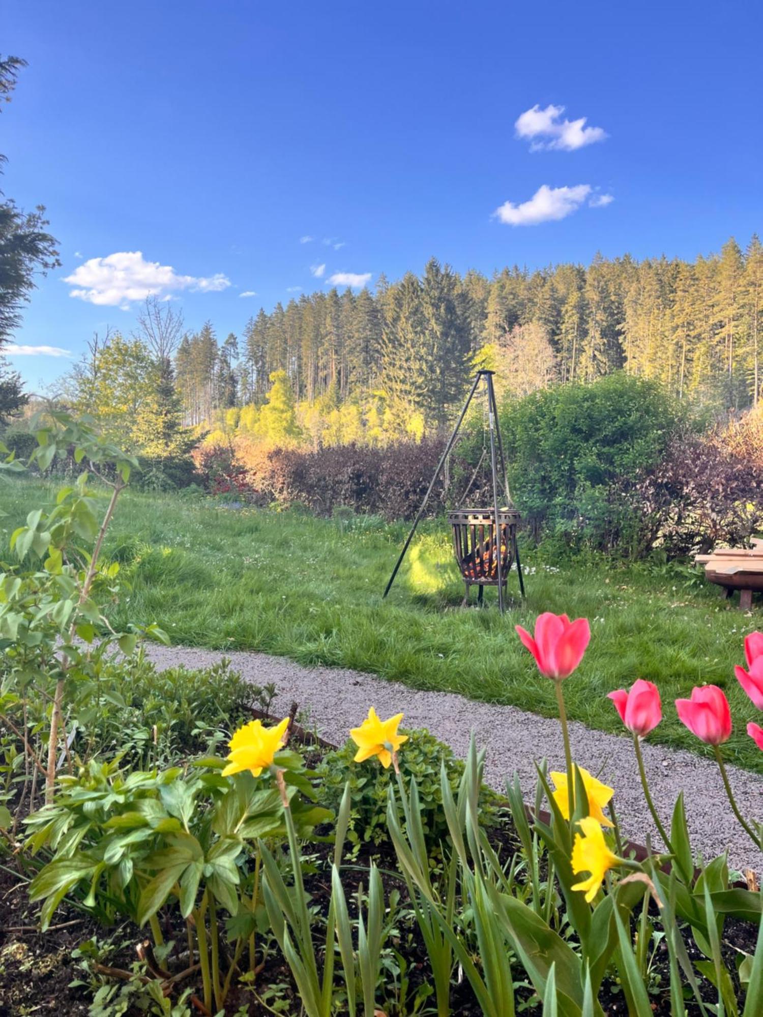 Haus Am See - Natur Pur Friedenweiler Dış mekan fotoğraf
