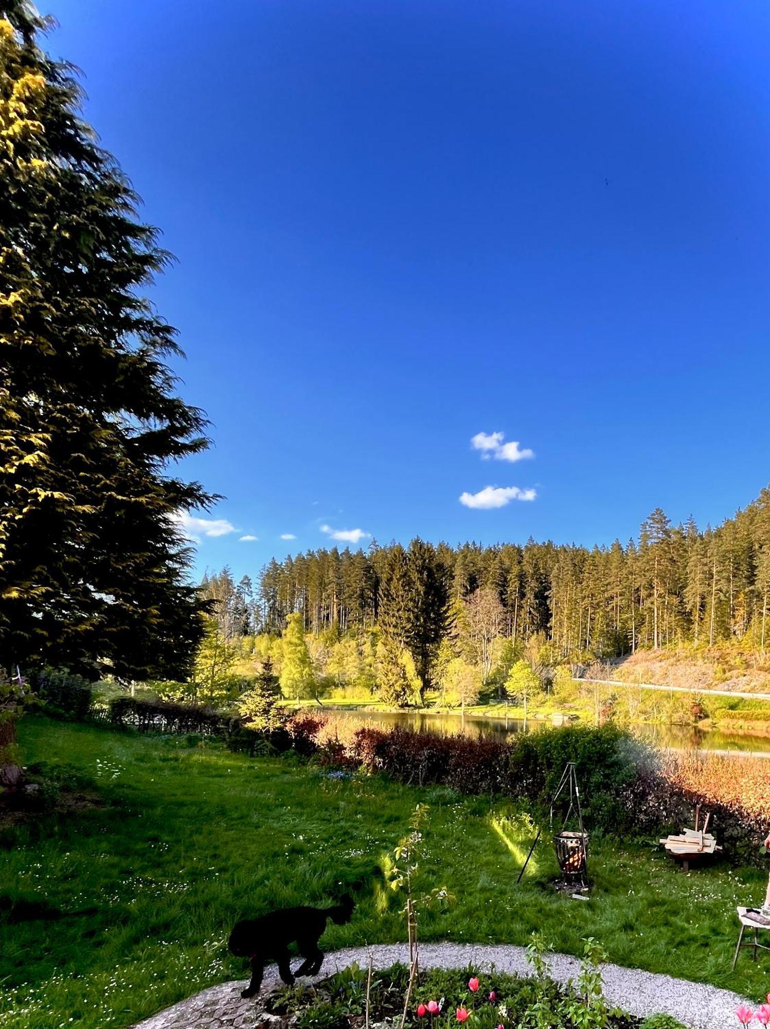 Haus Am See - Natur Pur Friedenweiler Dış mekan fotoğraf